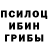 Псилоцибиновые грибы Psilocybine cubensis Tacir Aliyev