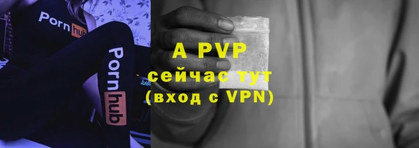 сатива Белоозёрский